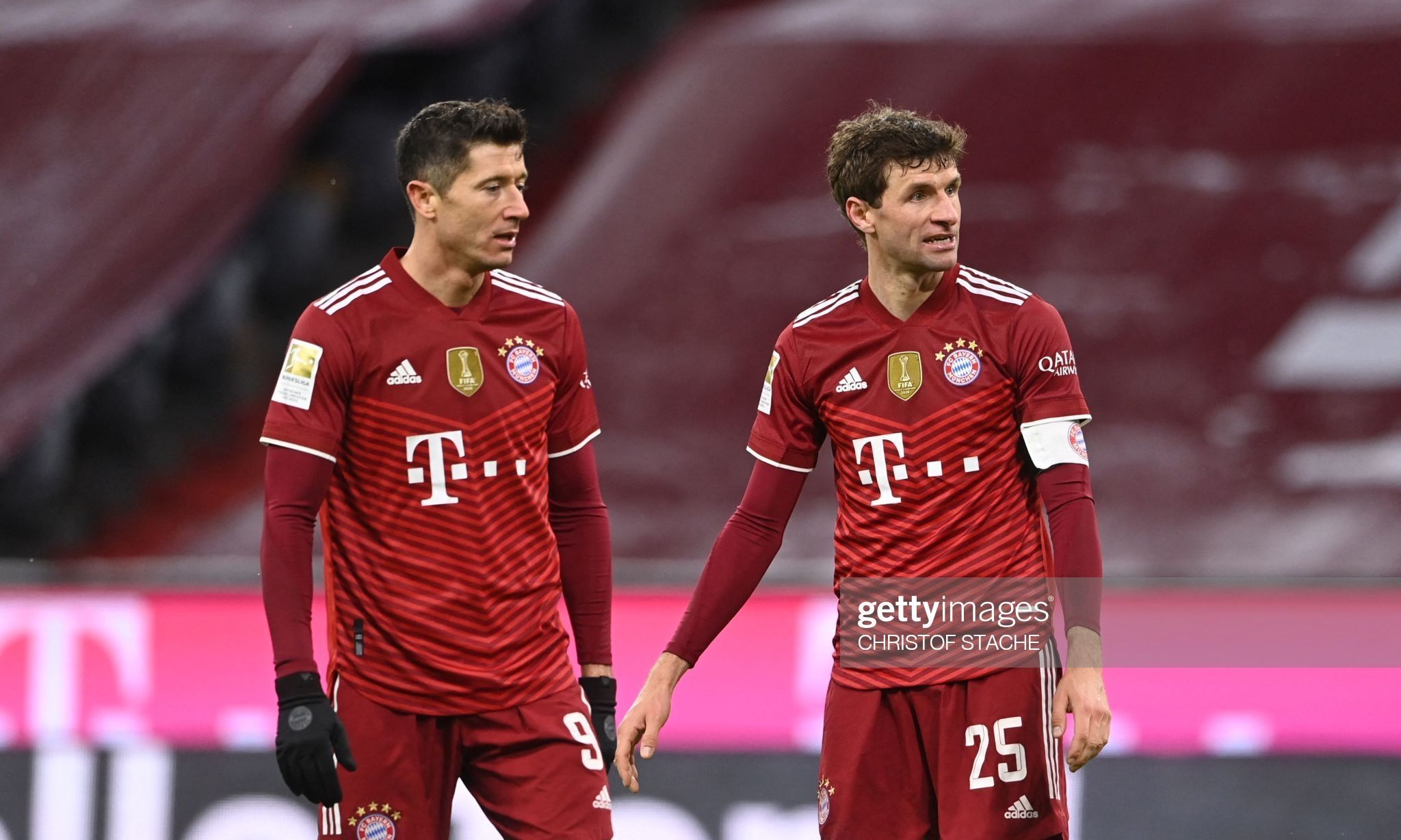 葵花籽脱蜡生产线